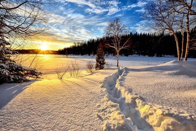 winter-landscape-g2cf5d4e2e_640